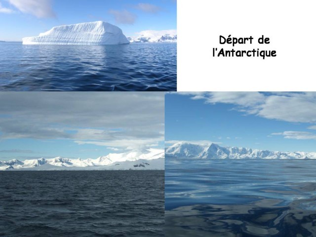 Antartique -26.jpg